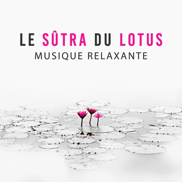Le Sûtra du Lotus - Musique relaxante, L’expérience du Bouddha, Méditation, Sommeil profond, Détente, Sons de la nature