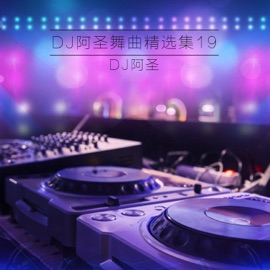 原来我不是你的天堂(DJ Version) DJ阿圣 & 尔萨
