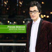 The Singles Collection: Pisham Bemoon artwork