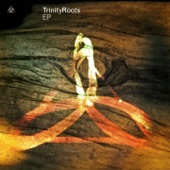 TrinityRoots - EP artwork