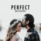 Perfect - Matt Johnson lyrics