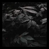 Rainy Nights — Azaleh
