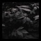 Rainy Nights - Azaleh lyrics