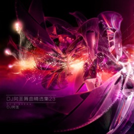 我的好兄弟(DJ Version) DJ阿圣, Gary & Xiao Shen Yang