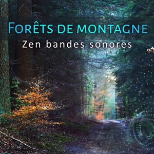 Forêts de montagne : Zen bandes sonores, massage musique, relax par yoga, apaiser l'esprit, méditation, nature d'ambiance
