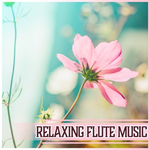 Relaxing Flute Music – Chakra Balance, Mindfulness Meditation, Defeat Your Stress, Spirit Free, Relief for Insomnia