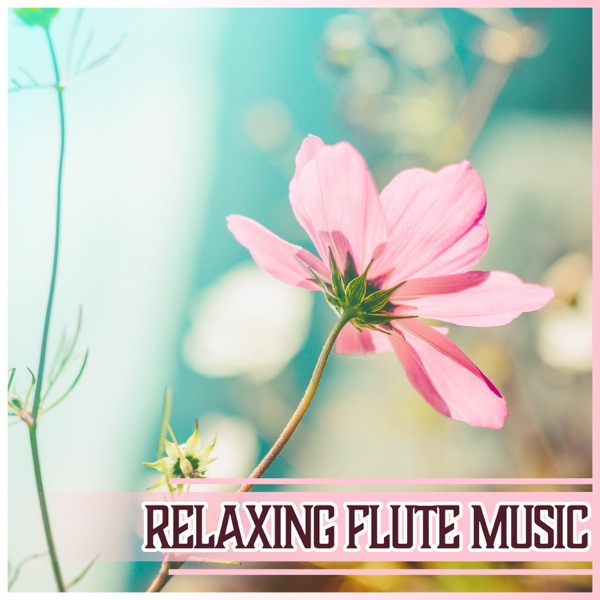 Relaxing Flute Music – Chakra Balance, Mindfulness Meditation, Defeat Your Stress, Spirit Free, Relief for Insomnia