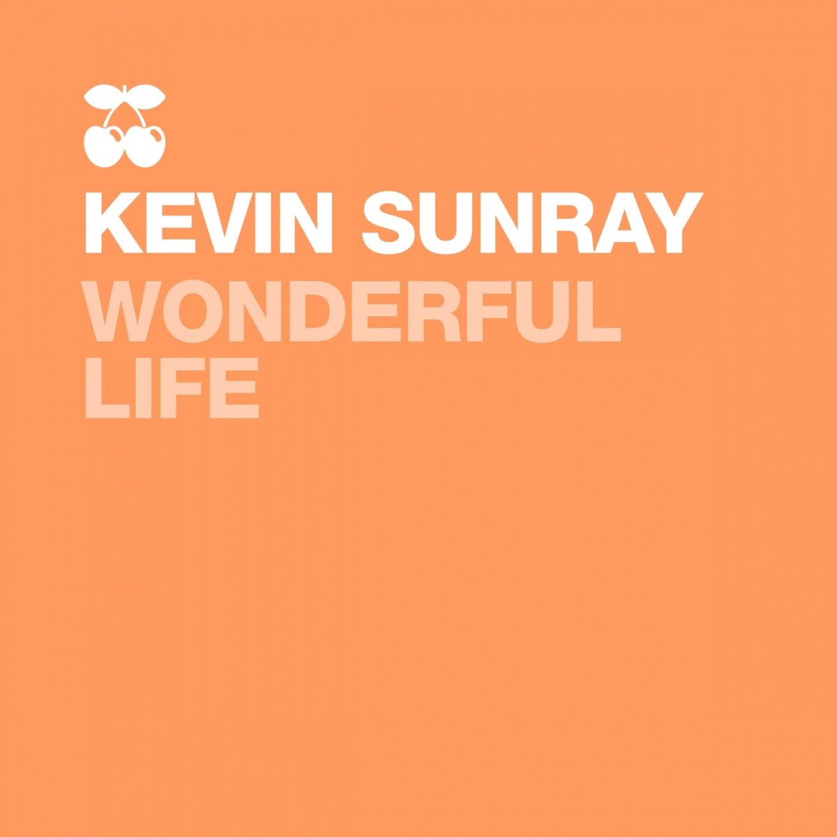 Wonderful life remix