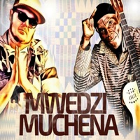 Mwedzi Muchena (feat. Oliver Mtukudzi) - Single - DJ Stavo