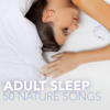 Adult Sleep 50 - Best Peaceful Nature Songs for Beautiful Sleepy Time, Zen Garden Soft Healing Sounds of Nature - Fairy Garden