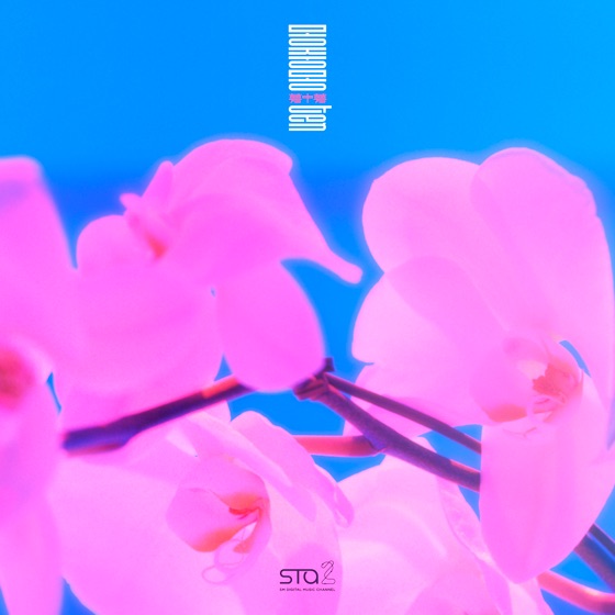 Cover artwork for Dream In a Dream