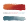What We Want, What We Get (Bonus Track Version), 2010