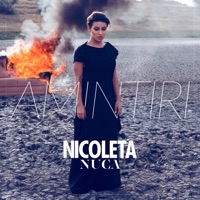 Amintiri - Single - Nicoleta Nuca