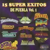 15 Super Éxitos de Puebla, Vol. 1