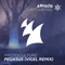 Pegasus (Vigel Extended Remix) - Protoculture lyrics