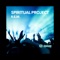 R.E.M. - Spiritual Project lyrics