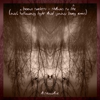 Thanks to Life - Single - Berni Turletti
