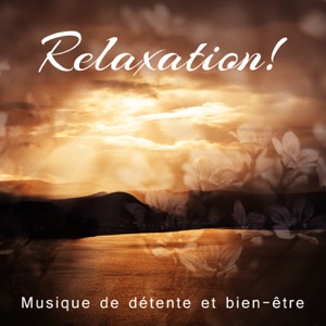 Relaxation! Musique de détente et bien-être - Voyages immobiles et transcendants, purification & baptême par les éléments de la nature (Yoga, Pilates, Tai-Chi)