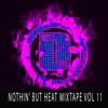 Nothin' But Heat, Vol. 11