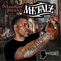 Perspectief - Metalz & Robin da Landlord