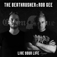 Live Your Life - Single - The BeatKrusher & Rob Gee