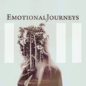 Emotional Journeys