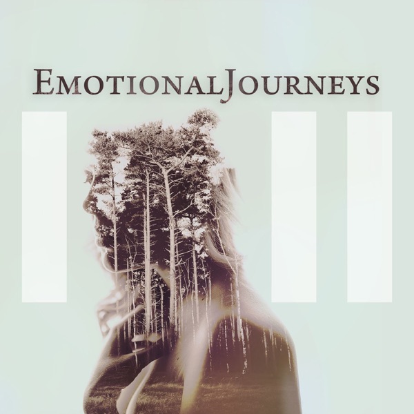 Emotional Journeys