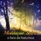 Taças Tibetanas - Oasis of Relaxation Meditation lyrics