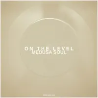 On the Level (Frank Victor Remix) — Medusa Soul