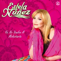 No Vuelvo A Molestarte — Estela Nunez
