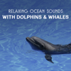 Relaxing Ocean Sounds with Dolphins & Whales - Soothing Ocean Waves Universe
