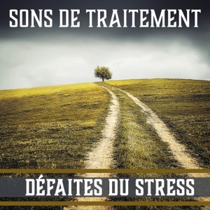 Sons de traitement: Défaites du stress - Des bruits naturels clairs, Temps apaisant, Détendez-vous avec la musique calme, Âme saine