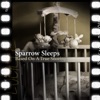 Based On a True Snoring: Lullaby Renditions of the Starting Line Songs