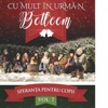 Cu mult în urmă-n Betleem, Vol. 7