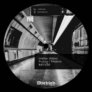 Fuzzy / Phoenix - Single