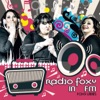 Radiofoxy in FM, 2017