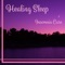 Sleep Through the Night - Deep Sleep Maestro Sounds lyrics