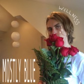 Wellness - Mostly Blue