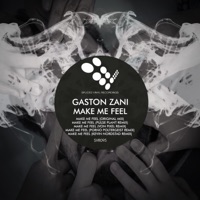 Make Me Feel - Gaston Zani