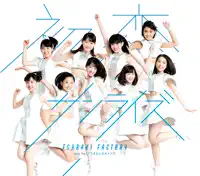 Just Try! — Tsubaki Factory