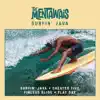 The Mentawais - Flat Day
