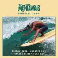 Surfin’ Java