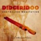 Ancient Sacred Sound - Native Aboriginal Guru lyrics