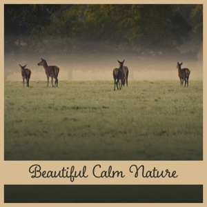 Beautiful Calm Nature – Stress Relief, Sounds of Nature, Massage Therapy, Relaxing Music