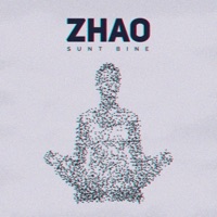 Sunt Bine - Single - Zhao