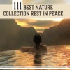 111 Best Nature Collection Rest in Peace - Find Harmony in Delicate Sounds, Relaxation Bliss, Liquid Ambient, Calm Spirit (Sleep, Meditation, Yoga, Spa)