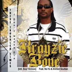 These Troubled Times (I Don't Wanna Die) [Intl. Soul Version] [feat. Ne-Yo & Ahmed Soultan] - Single - Krayzie Bone