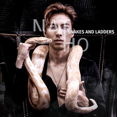 Snakes and Ladders - Single