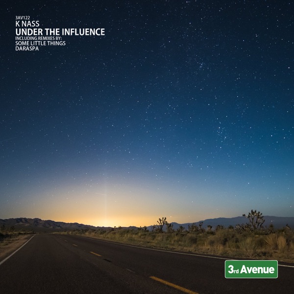 Under the Influence - Single