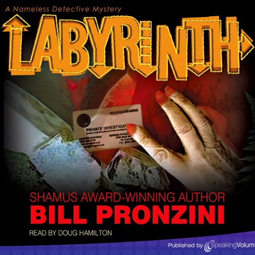 Labyrinth: The Nameless Detective, Book 6 (Unabridged) cover